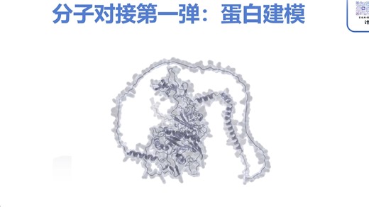 分子对接第一弹：蛋白建模