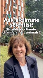 Some people, like climate scientist Lesley Hughes, use their love of animals to fuel climate action. 🌳 Do animals and nature motivate you to take action on climate? | 1 Million Women