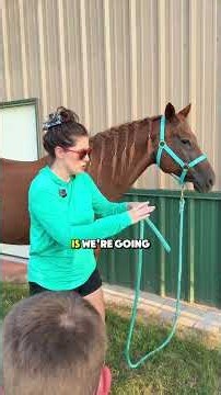 Lead your horse safely #horse #equestrianjourney #equestrian #horsegirl
