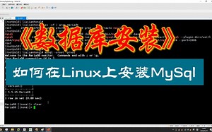 如何在Linux上安装MySql