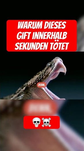 Warum diese Viper das stärkste Gift hat #snakes #evolution #facts