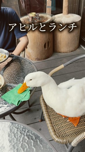 Lunch Together