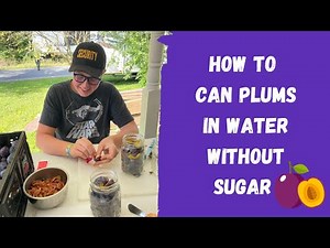 How to Can Plums in Water without Sugar - Canning Fruit for Winter