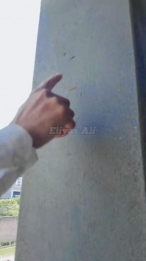 Grooping plaster design work #grooping #plasterdesign #designwork #plasterwork #parapetwall #walldesign #chunai #deewar #walldesign #frantelivetion | Eliyas Ali