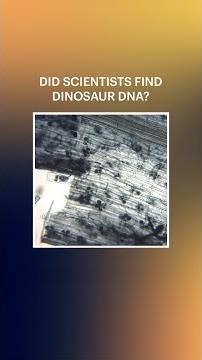 Dinosaur DNA? Science Gets Closer