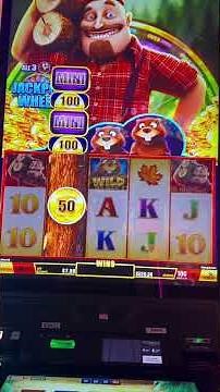 Timberjack Going Wilder! New Slot Machine!