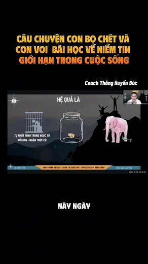 Bài học về con bọ chét và con voi #coachthanghuyenduc #leader10x #lanhdaotinhthuc #mindfullness | Hằng Nguyễn