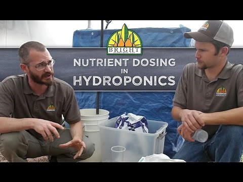 Nutrient Dosing in Hydroponics Systems