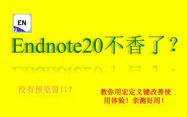 Endnote20使用体验改善方案