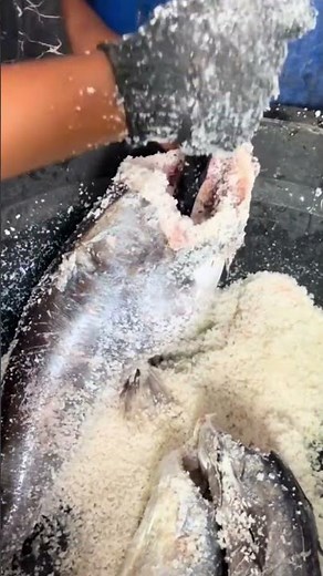 Fish Preservation Process | Fresh Quality #shorts #food