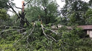 Storm repairs, trees down? Don't get ripped off. Here are the questions to ask.