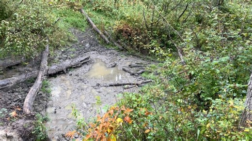 How_To_Hunt on Instagram: "Tightening the noose on a bull and prepping a spot for a buck. Wish these times could last forever!! 🤷🏼‍♂️ #elk #whitetaildeer #elkhunting #deerhunting #hunting #howtohunt #gardepro #huntingbc"