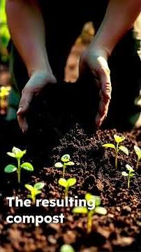 Decomposition of Food Waste ♻️ | How Kitchen Waste Turns Into Natural Fertilizer