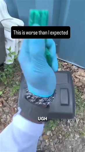 This is worse than I expected… What you’re seeing here is a rodent bait station. These stations are placed around the perimeter of buildings to monitor rodent activity. The amount of bait eaten helps us understand how active rodents are in the area and whether more treatment is needed.
