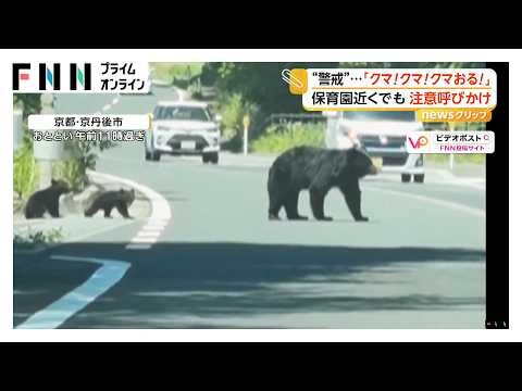 道路に“クマの親子”　木登りやスイスイ泳ぐ姿、住宅街を堂々と歩く姿も…各地で相次ぎ出没（2026年06月15日）