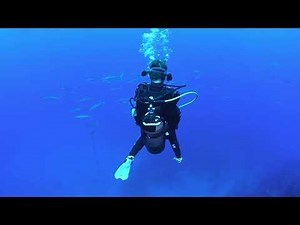 A dozen reasons to visit St Helena Island, well almost