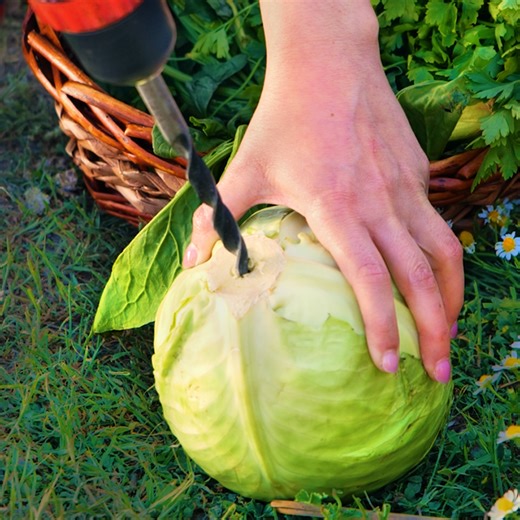 Essential crafts for chicken farming