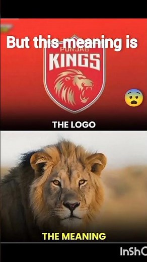all the logo of ipl teams of their meaning