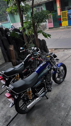 duo rx peredam totalkings😍