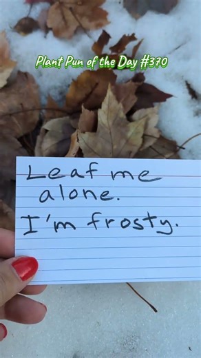 Snow & Frosted Leaves Inspiration | Plant Pun of the Day | ThePlantifulGardener