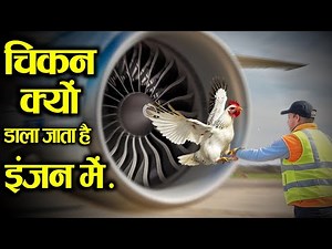 मुर्गी क्यों डाला जाता है इंजन में? || Why Are Chickens Thrown Into Jet Engines?