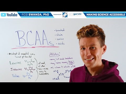 What are BCAAs? (Branched Chain Amino Acids)