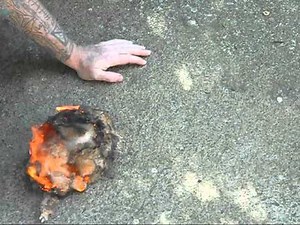Starting Fire With Cat Tail Fluff