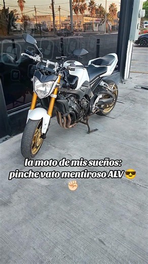 Why are we like this!! Yamaha fz1000 #fz1000 #yamaha