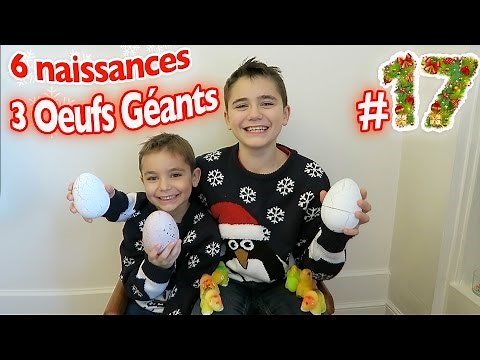 6 NAISSANCES & 3 OEUFS GÉANTS - CALENDRIER DE L'AVENT SURPRISE - JOUR 17