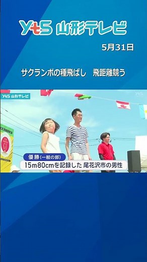 サクランボの種飛ばし 飛距離競う