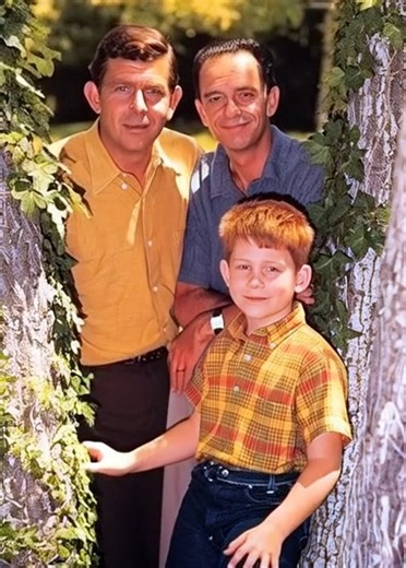 The Andy Griffith Show. | Old TV Show Hall Of Fame