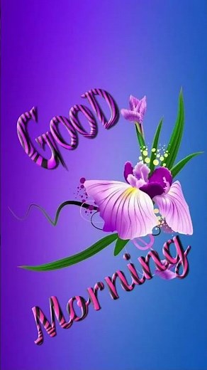 nice good morning gif animation