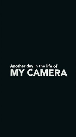 Another day in the life of my Nikon D200