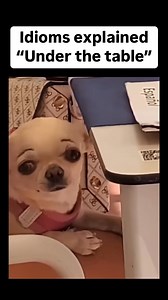 “Under the table” is an idiom that means something is done secretly or unofficially, often in a way that is dishonest or against the rules. Examples: • “He was paid under the table.” (He was paid in cash, without official records, often to avoid taxes.) • “They struck a deal under the table.” (They made a secret agreement, possibly unethical or illegal.) • “She drank him under the table.” (She drank more alcohol than him and remained standing while he became too drunk.) It can refer to hidden tr