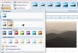 Cara Mengatur Warna Gambar Dengan Menu Recolor Dalam Excel