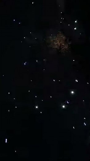 Chip And Dale The Lone Chipmunks