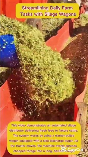 Optimizing Nutrition Delivery for Large Beef Herds