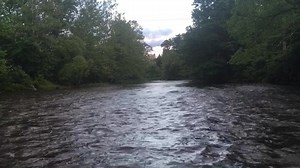 8.3K views · 136 reactions | The sounds of a late-spring evening on the Battenkill in West Arlington, Vermont. Volume up! | Orvis Fly Fishing | Facebook