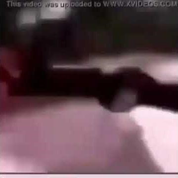 Monkey spin 140p xvid