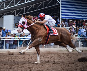 1M views · 48K reactions | EL PAYASO CUADRA SAN RAFAEL ¿Será que el 29 de octubre en el inicio del Maturity de Tonala se aparezca? Cada ves estamos más cerca de ver el regreso del fenómeno de las pistas, como lo es el payaso el que dicen que viene de otro planeta ya que las hazañas que hizo, no cualquier caballo las hacen!! Animo levanten la mano esos seguidores del Payaso | Carreras de Caballos Videos Dgo | Facebook