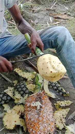 Painapple sega 🔪🔪 @highlight #painapple #goodlife | Manisha SuNil Vlog