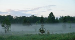 Education critical to ensure future of forests, and reverse their destruction