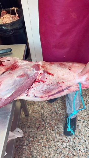 Professional Butcher Preparing Raw Beef for Cooking