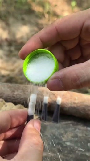Primitive Fire Making with Natural Materials #nature #bushcraft #wood #outdoorskills #skills