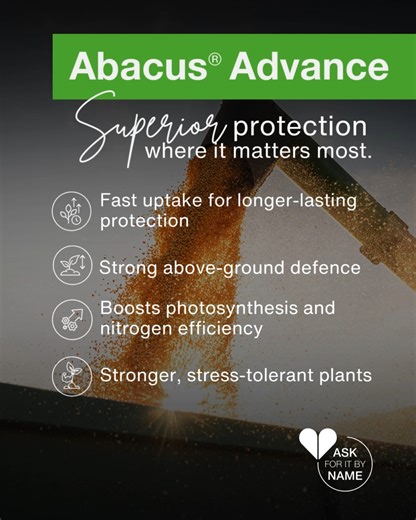 Abacus® Advance helps farmers grow healthier, more resilient maize crops – with powerful systemic and contact disease control that protects from the start. 🌽 Learn more: https://www.agro.basf.co.za/en/Products/Overview/Fungicide/Abacus-Advance.html #BASF #AbacusAdvance #MaizeProtection #VolhoubareLandbou | BASF Agricultural Solutions