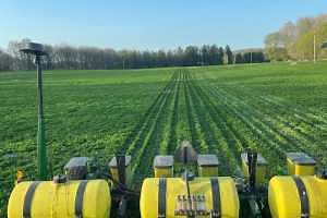 Growing nitrogen with legume cover crops