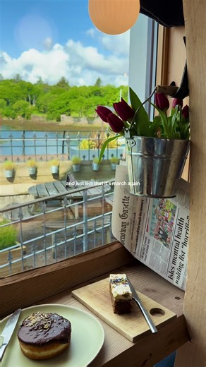 season changes are my favorite! 🍀🌷🌼 #march1 #happymarch #march #springbreak #spring