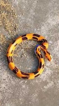 🤝🤝😄😁😁🤭🤭