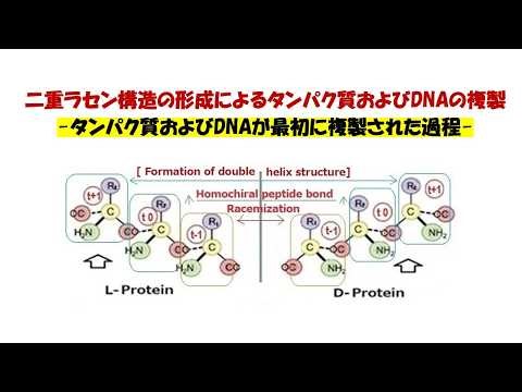 二重ラセン構造の形成によるタンパク質およびDNAの複製 -タンパク質およびDNAが最初に複製された過程-