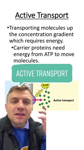 TikTok - Make Your Day